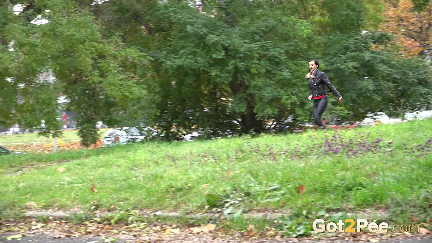 Paw Prints 1080p Got2Pee Com