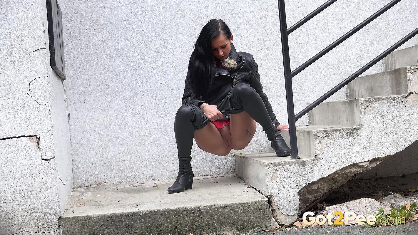 Paw Prints 1080p Got2Pee Com