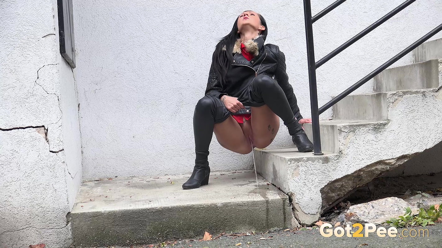 Paw Prints 1080p Got2Pee Com