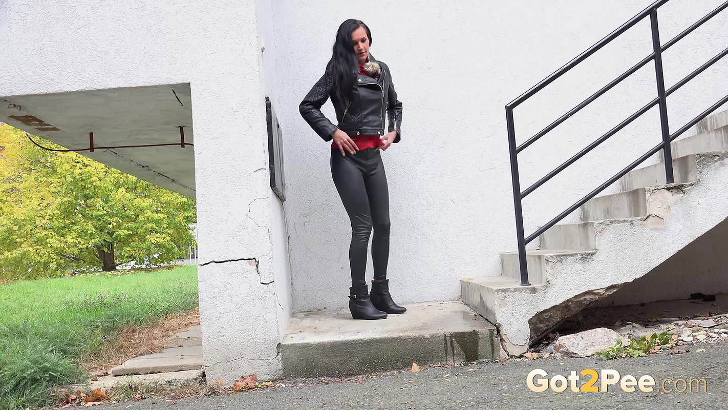 Paw Prints 1080p Got2Pee Com