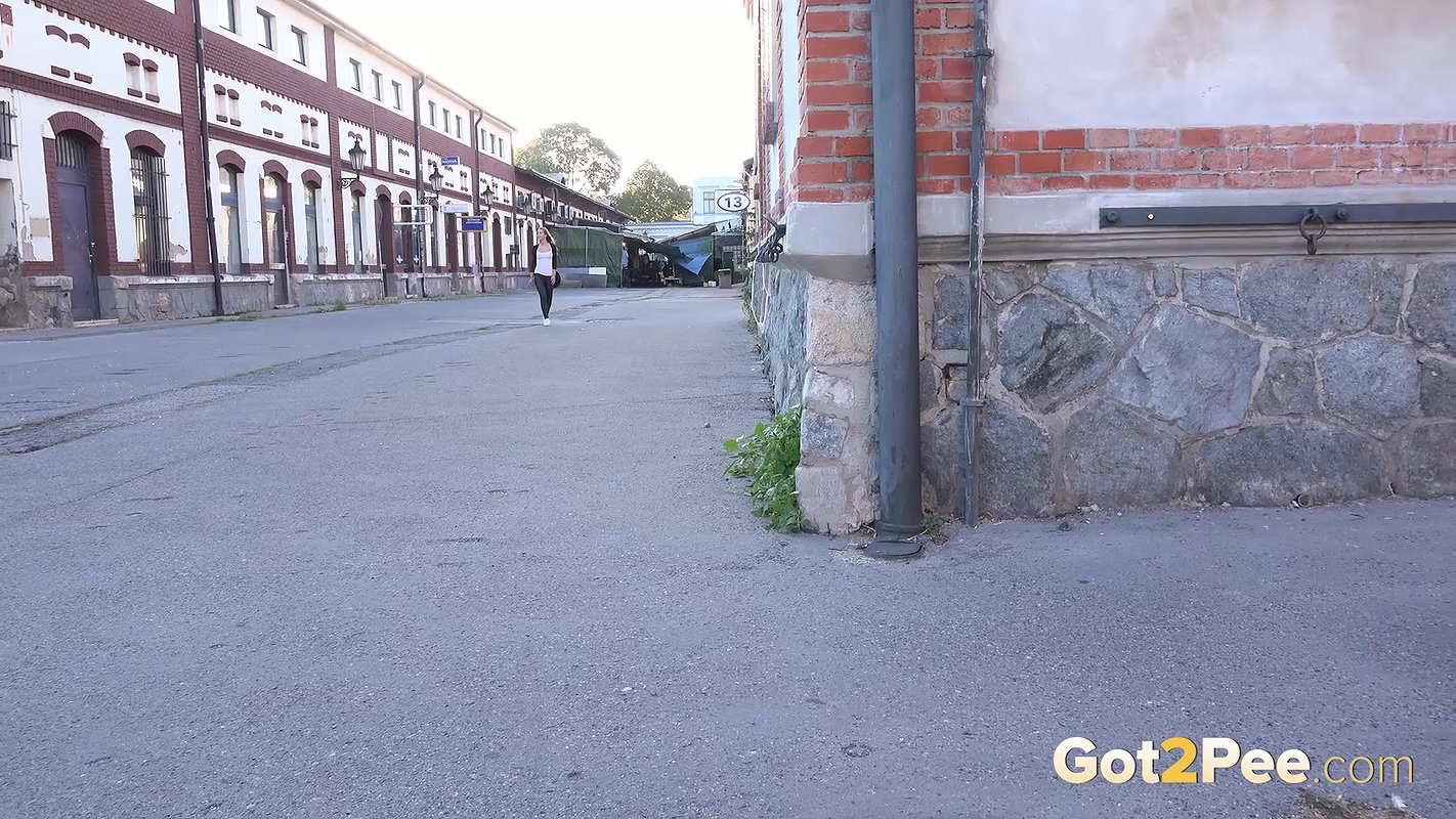 Peeing For Fun 1080p Got2Pee Com