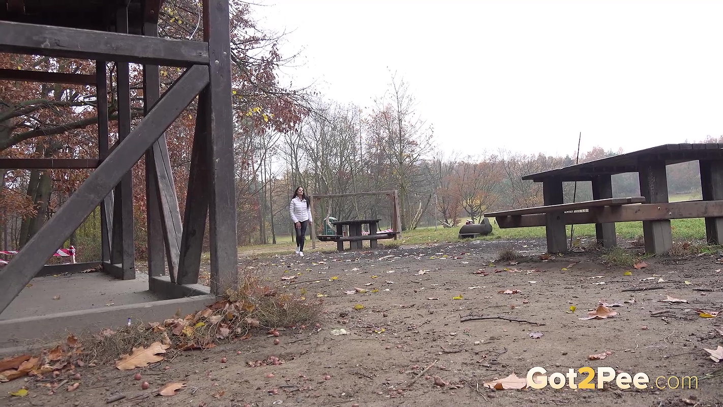 Picnic Spot 1080p Got2Pee Com