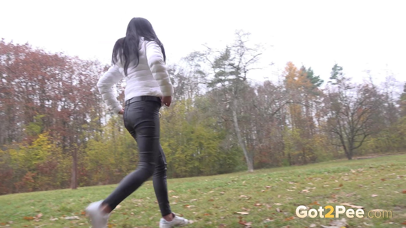 Picnic Spot 1080p Got2Pee Com
