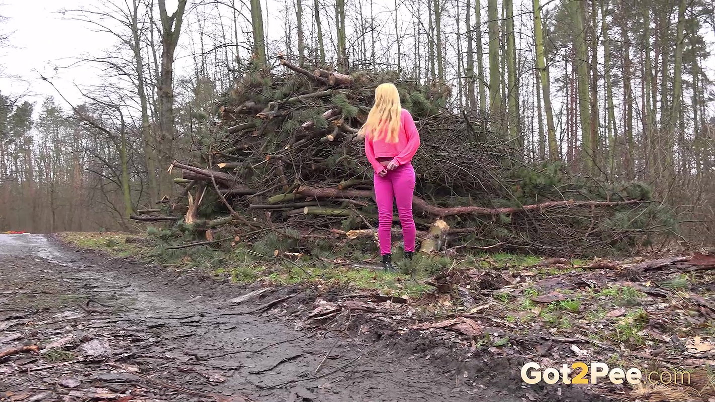Pink Lady 1080p Got2pee