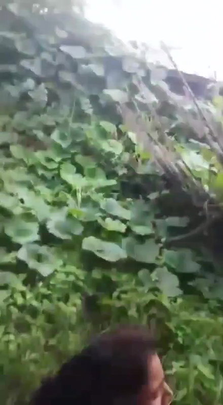 Desi Lovers Caught Fucking