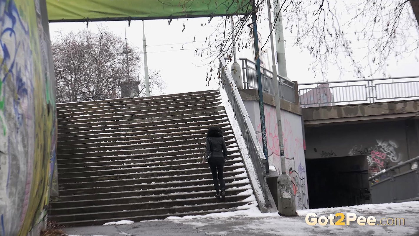 Still Snowy 1080p Got2Pee Com