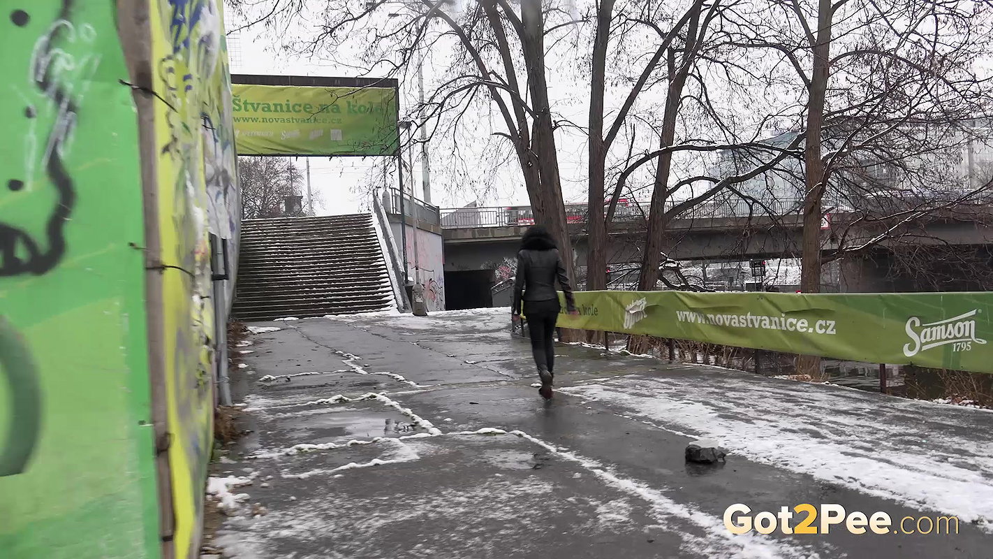 Still Snowy 1080p Got2Pee Com