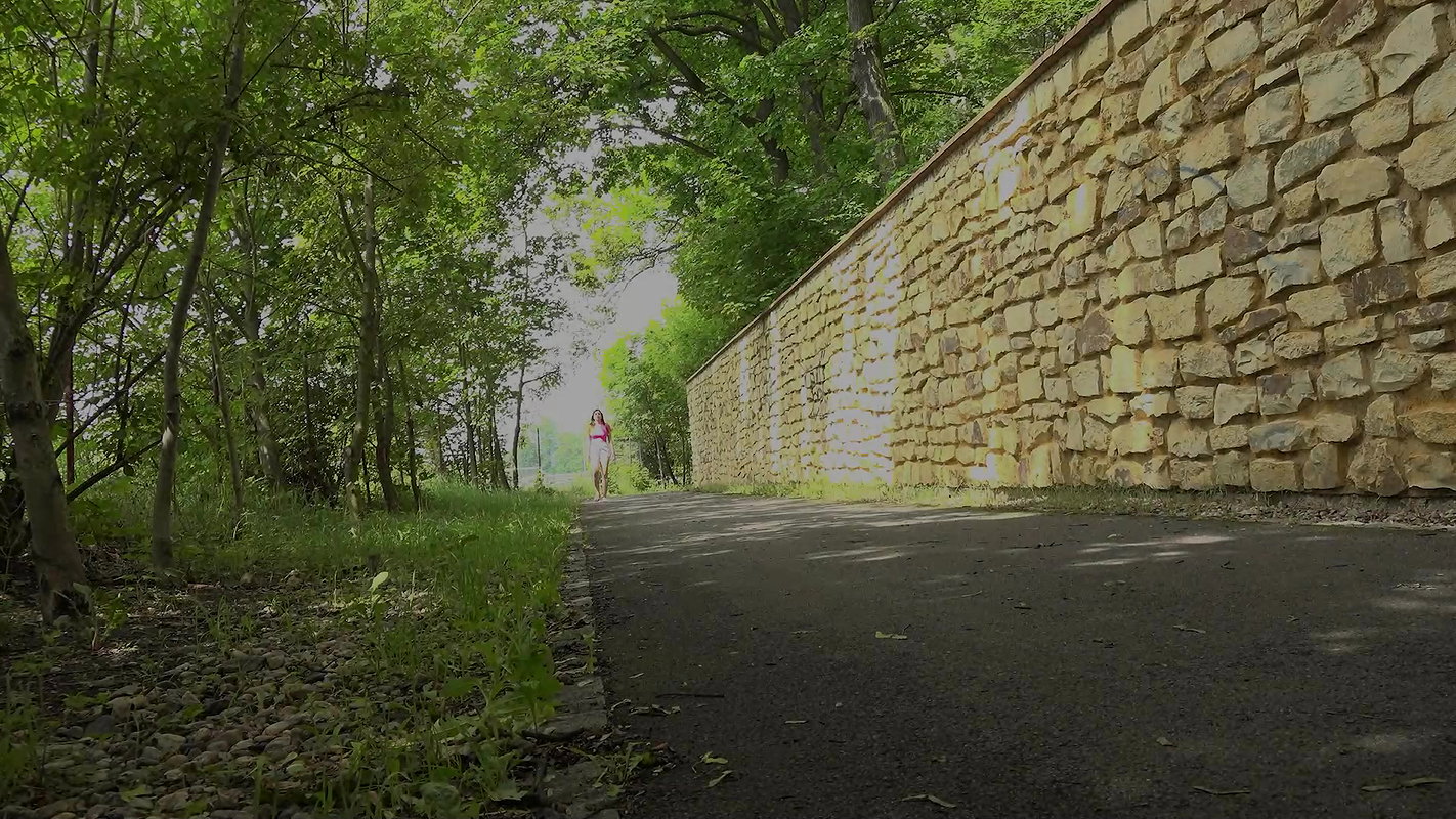 Stone Wall Relief 1080p Got2Pee