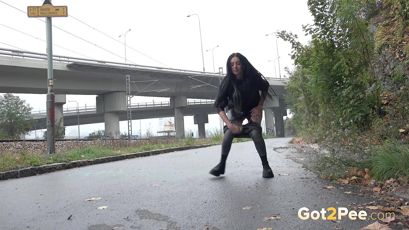 Stunning Dark Haired Babe Squats And Pees Got2pee