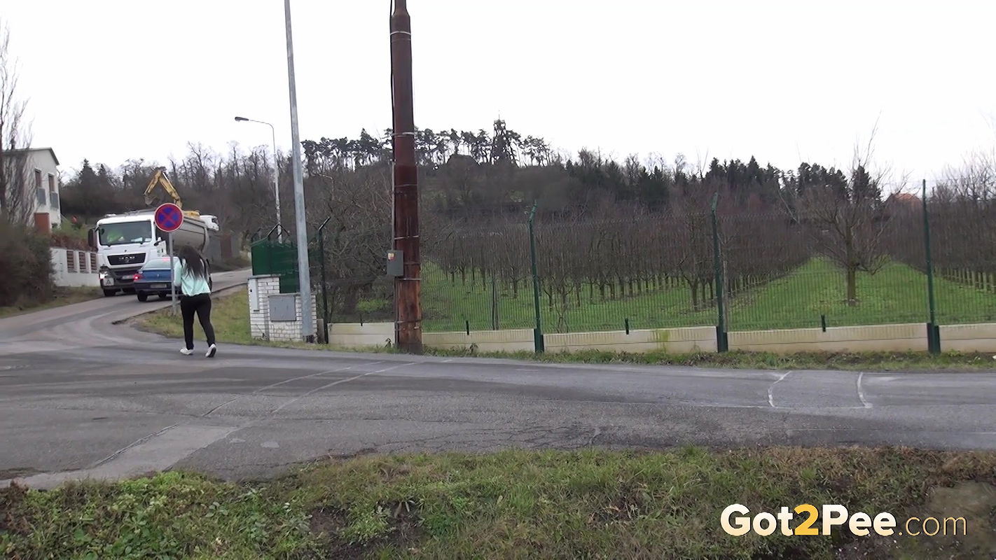 Sweet And Shy 1080p Got2pee Com