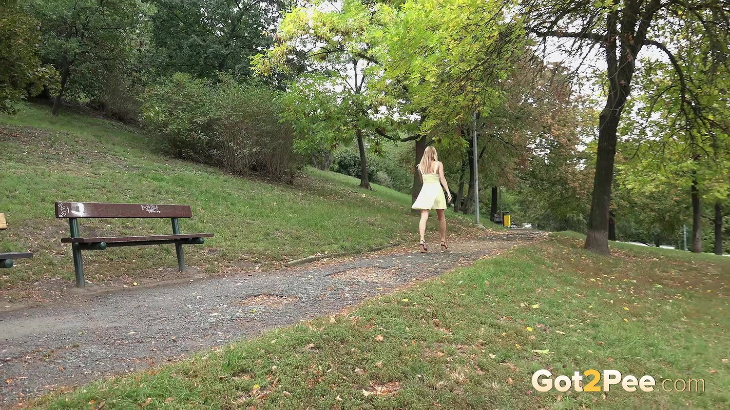 Tagged Bench 1080p Got2Pee mp4