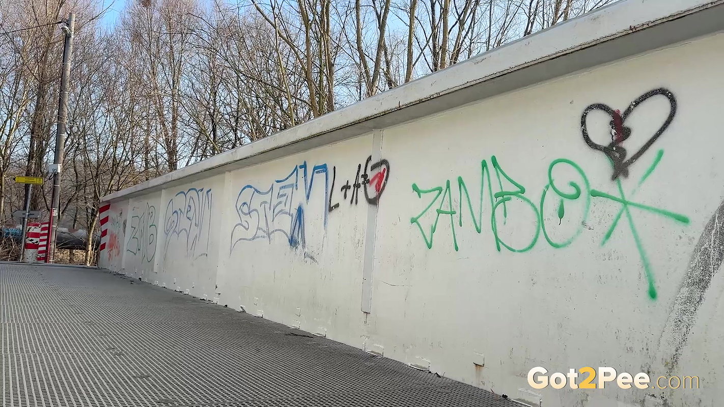 The Footbridge 1080p Got2Pee