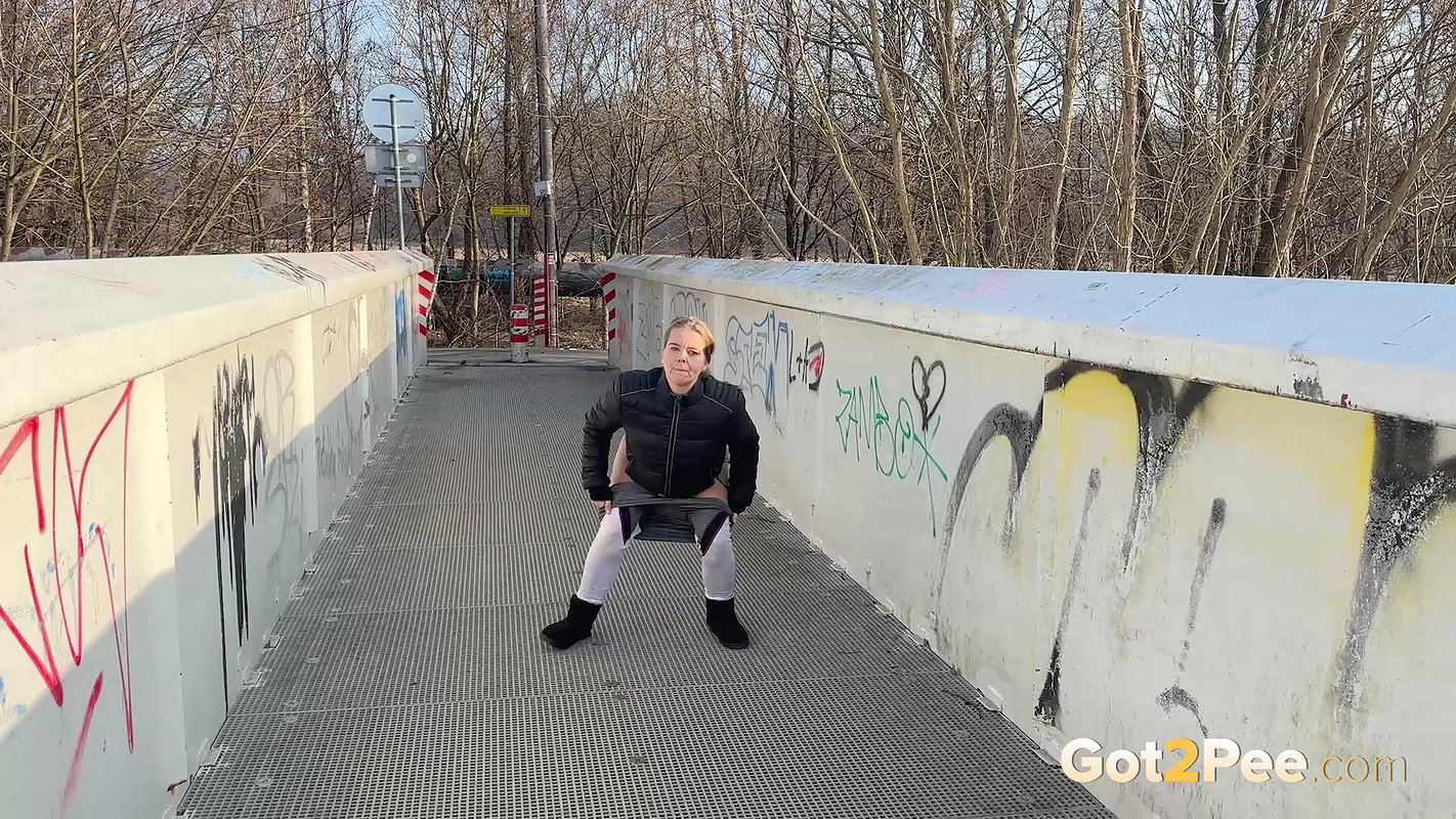 The Footbridge 1080p Got2Pee