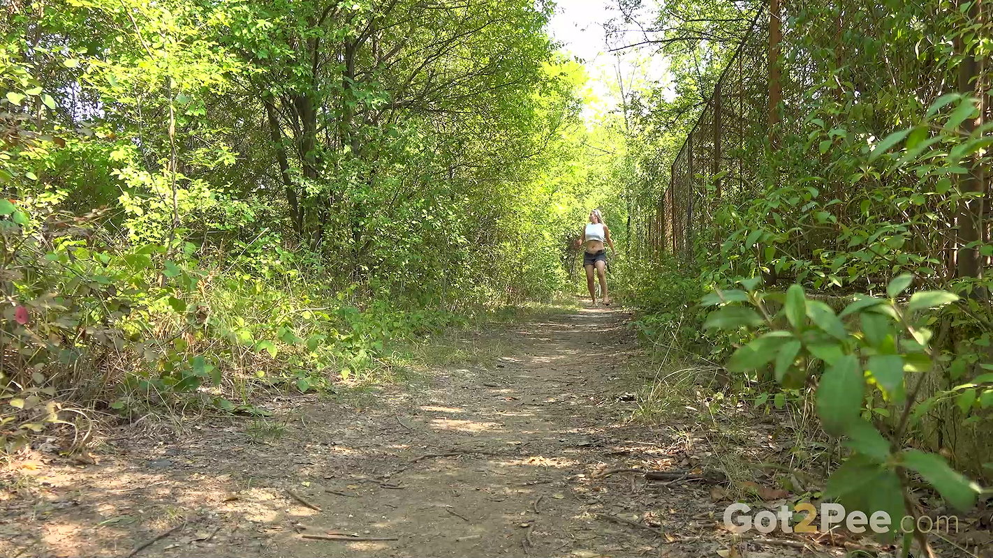 The Golden Arc 1080p Got2Pee