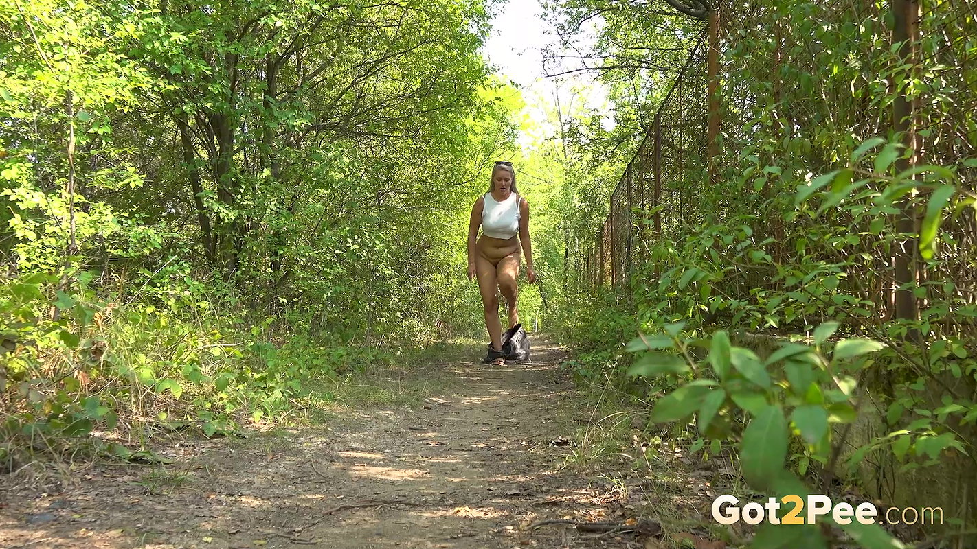 The Golden Arc 1080p Got2Pee