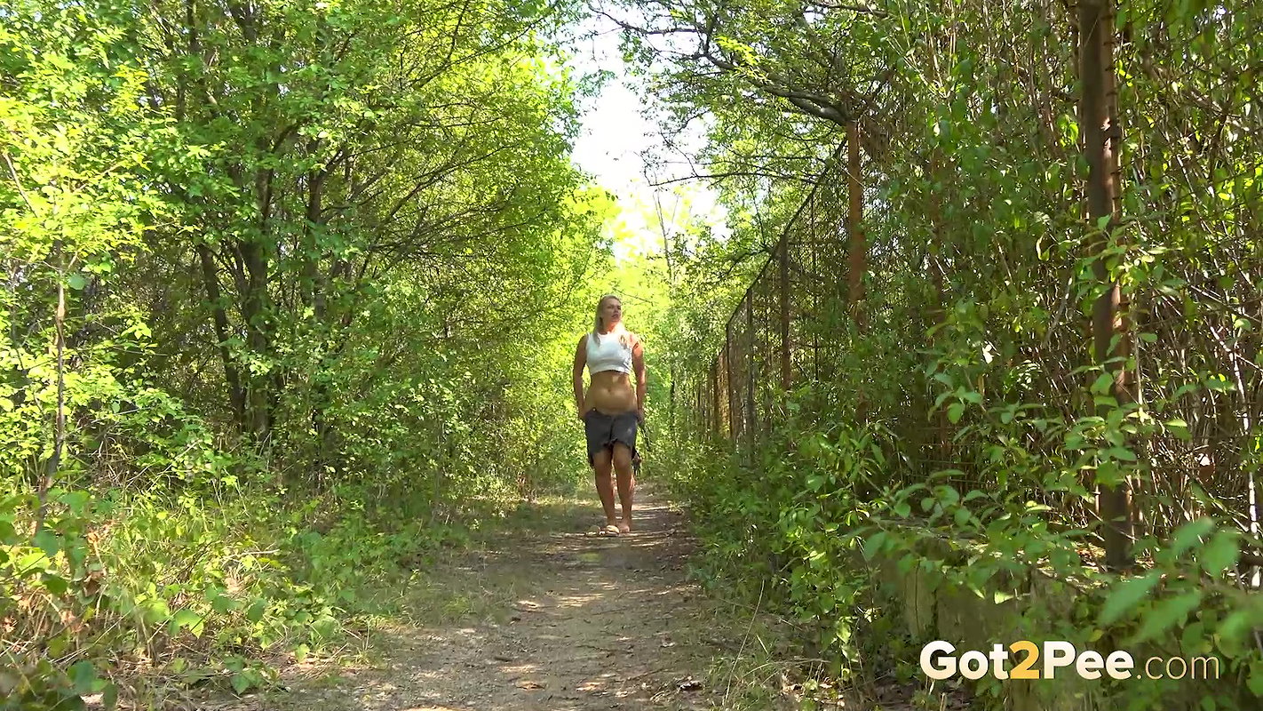 The Golden Arc 1080p Got2Pee