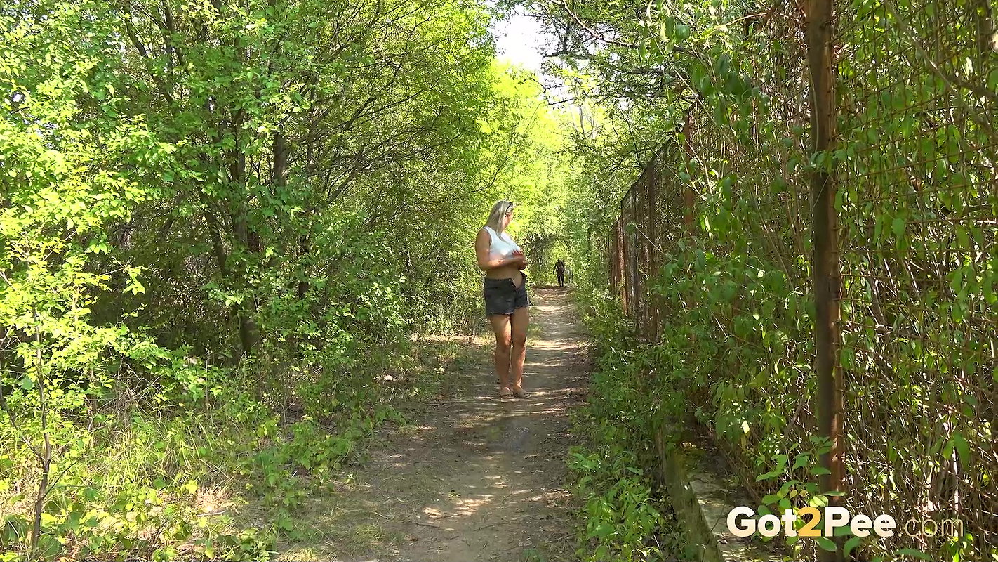 The Golden Arc 1080p Got2Pee