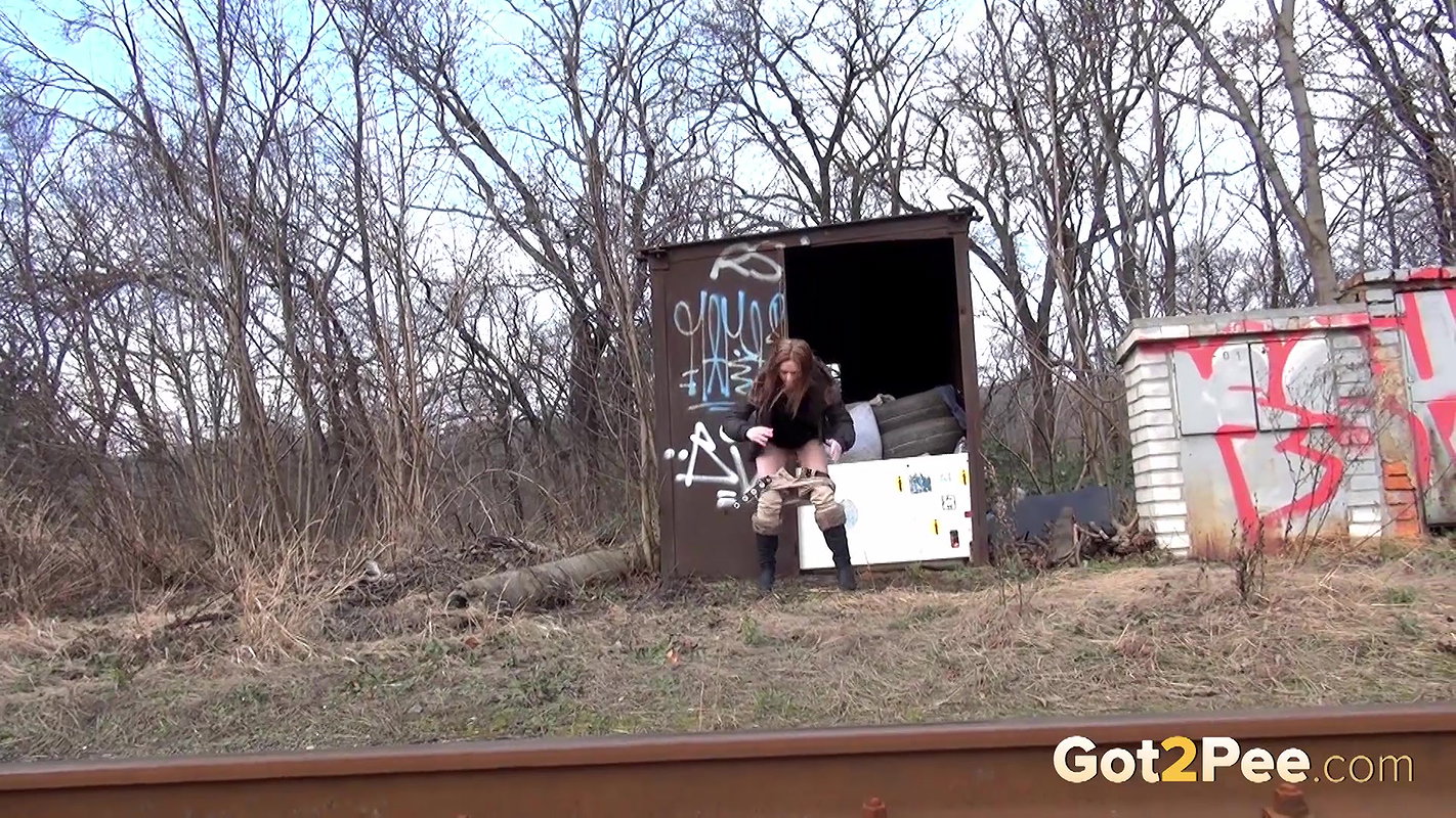 Train Line 1428083664 1080p Got2pee Com