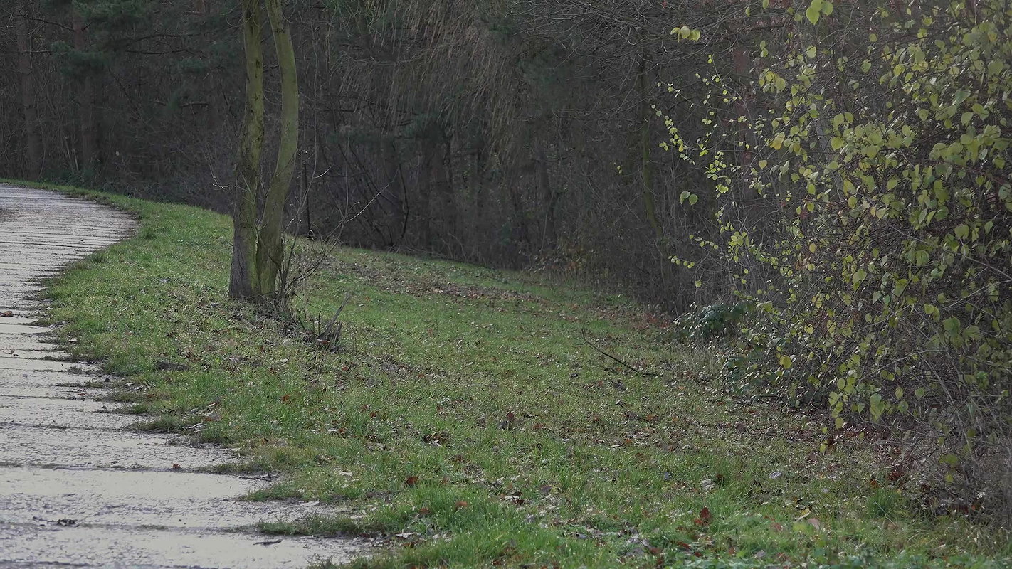 Watch That Steam 1080p Got2Pee