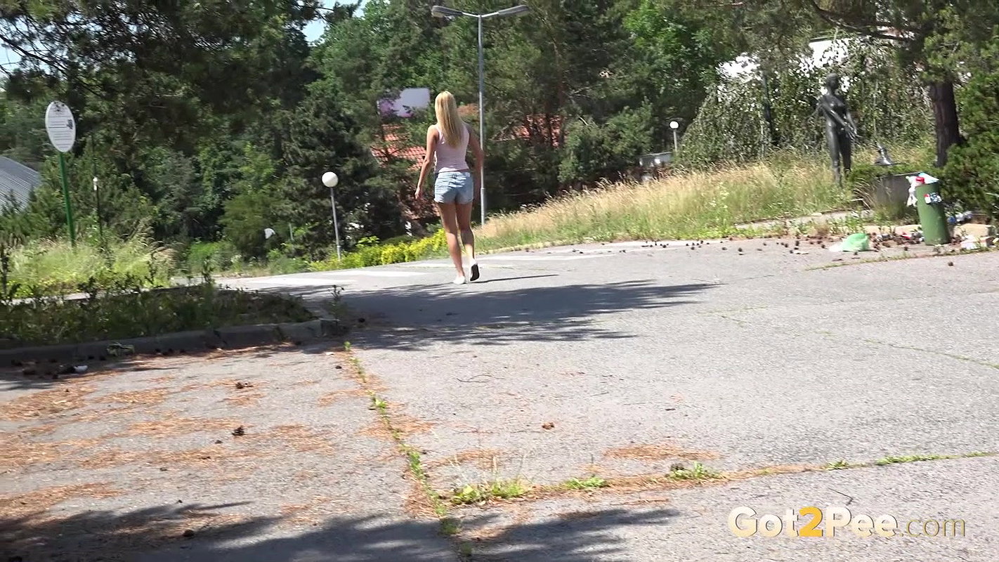 Shadowed Puddle Wmv Got2Pee Com