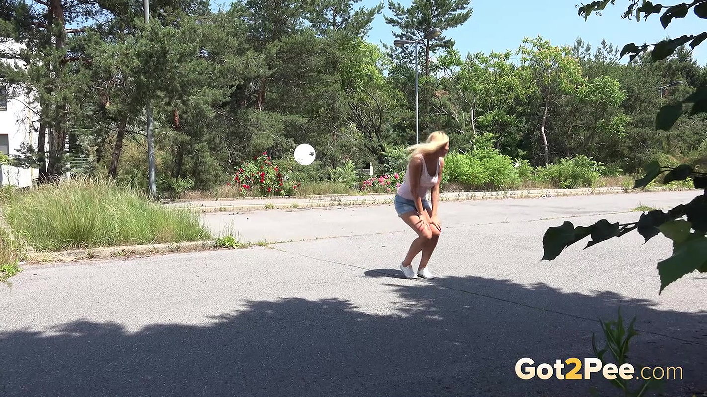 Shadowed Puddle Wmv Got2Pee Com