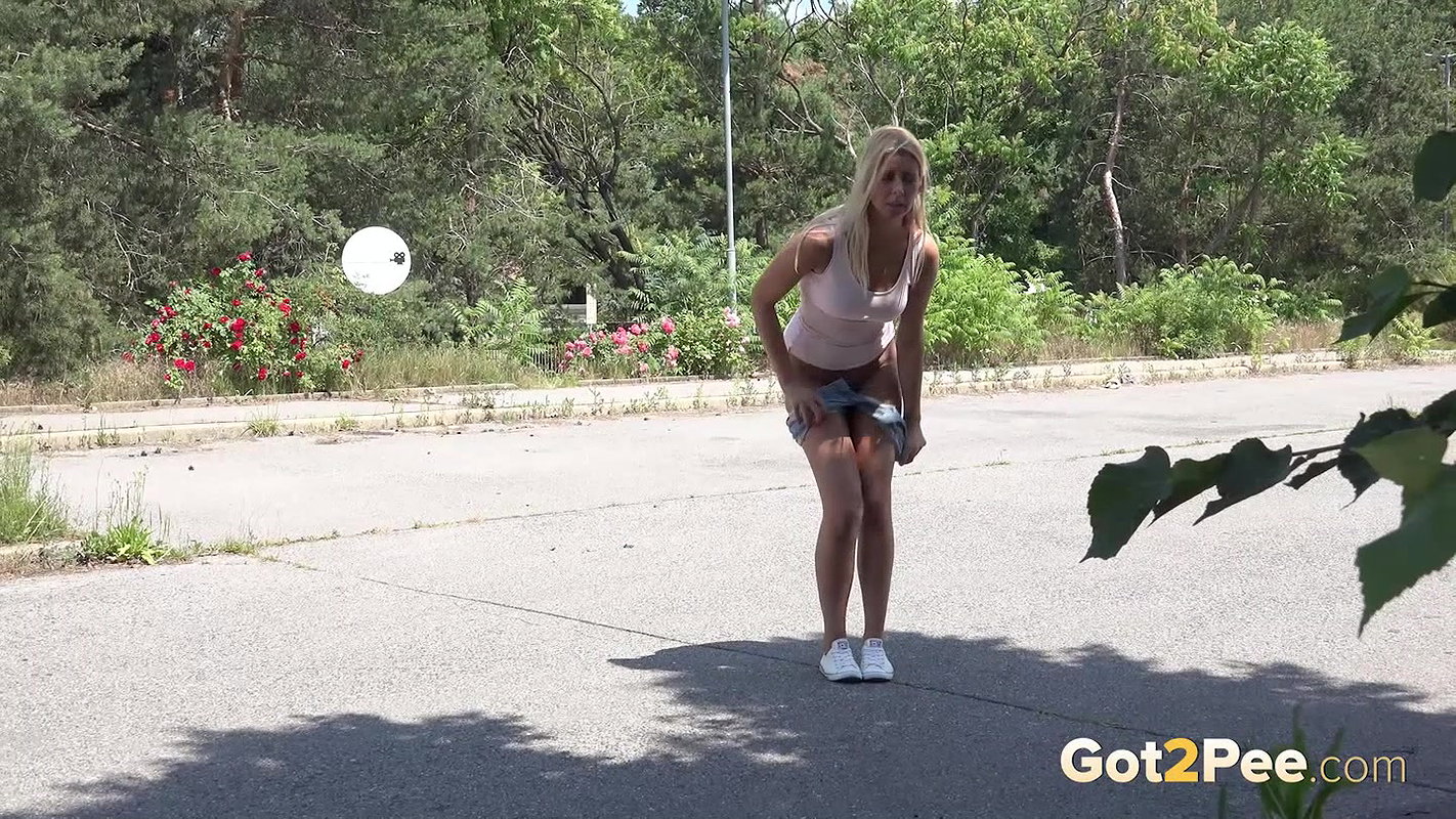 Shadowed Puddle Wmv Got2Pee Com