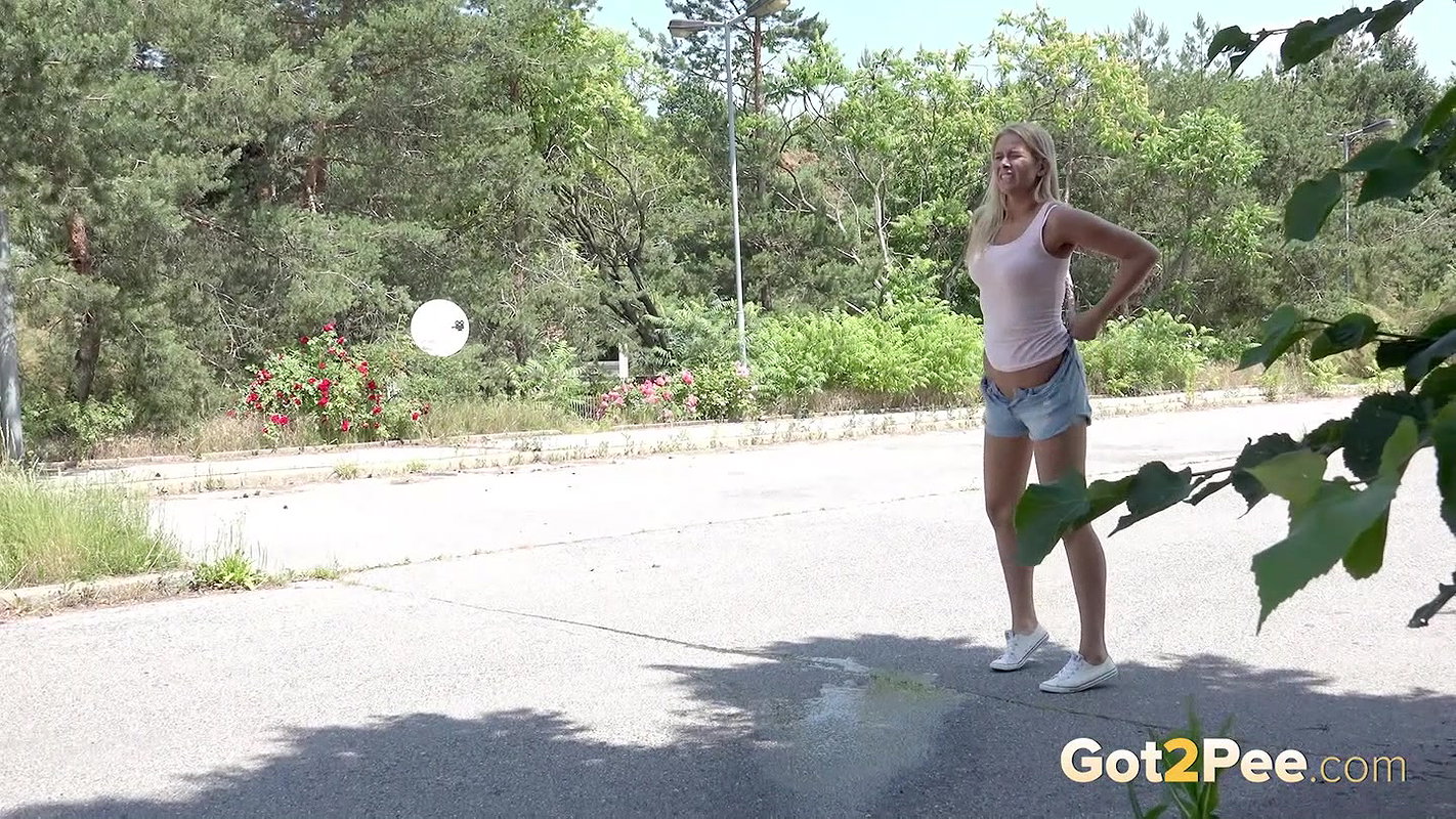 Shadowed Puddle Wmv Got2Pee Com