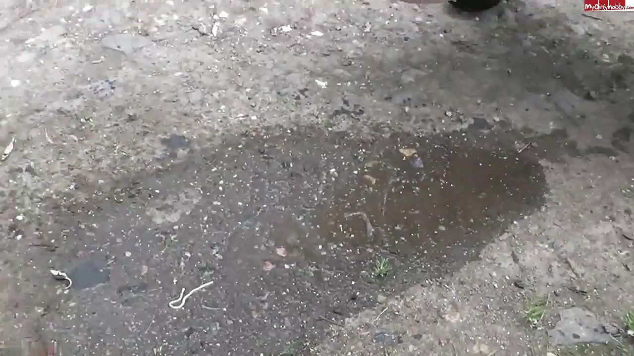 993Popp Sylvie Gefc hrlich sen an der Strasse