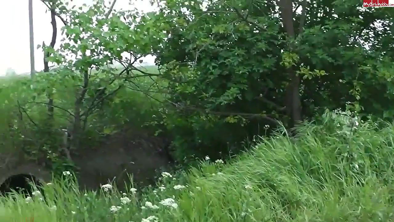 993Popp Sylvie Gefc hrlich sen an der Strasse