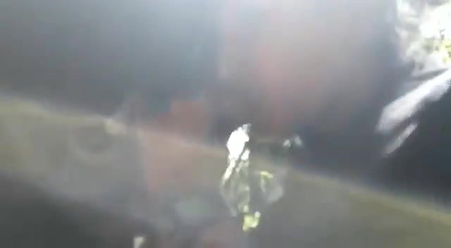 Beautiful girl giving blowjob outdoor when they gone for jungle trip