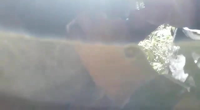 Beautiful girl giving blowjob outdoor when they gone for jungle trip