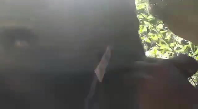 Beautiful girl giving blowjob outdoor when they gone for jungle trip