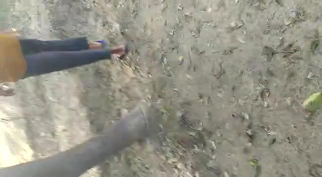 Indian Couple Outdoor Fucked