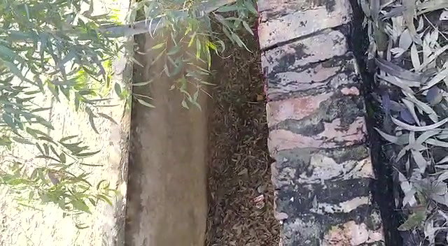 Indian Couple Outdoor Fucked