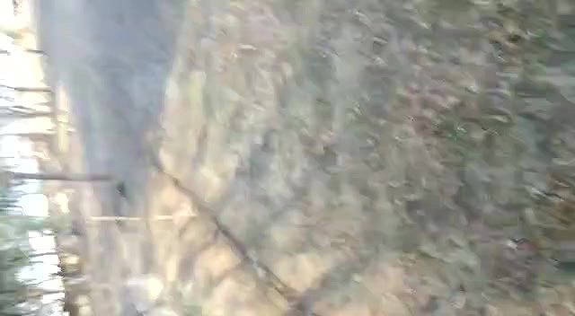 Indian Couple Outdoor Fucked