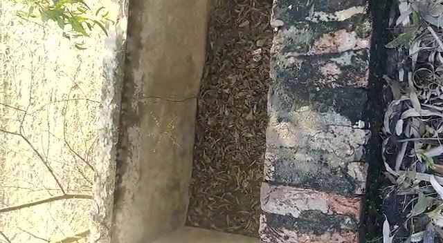 Indian Couple Outdoor Fucked