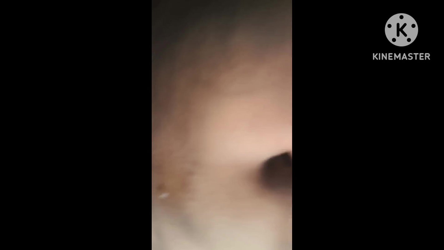 Doggy style in jungle