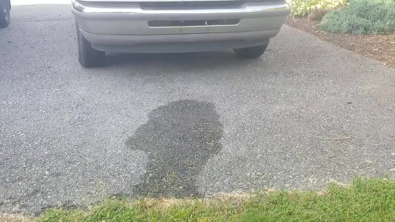 31sexylilb17 My neighbors see my piss show masturbation and full strip