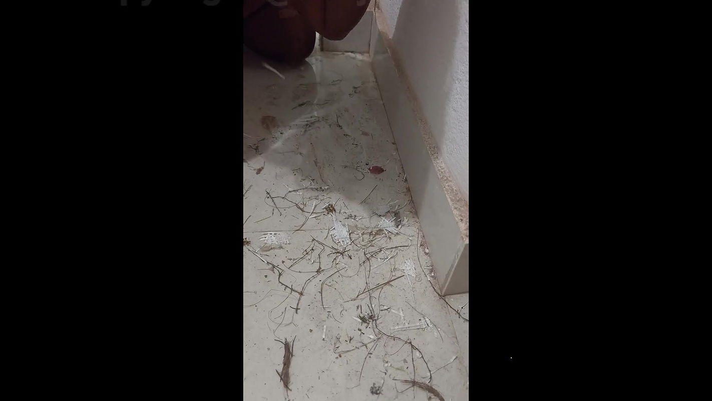 Sonia’s Boyfriend Made Sonia His Slave and Fucked Her Hard