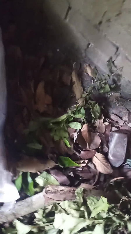 Desi Bhabhi Cooking Turned Into a Hot Surprise!