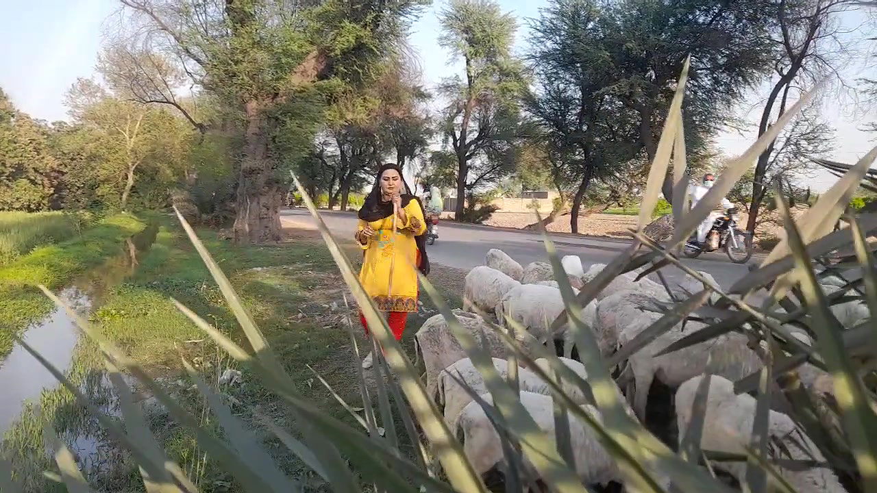 My Daily Routine Work Pakistan Village Life – Desi Aunty New Hot Vlog Punjab Culture Lifestyle