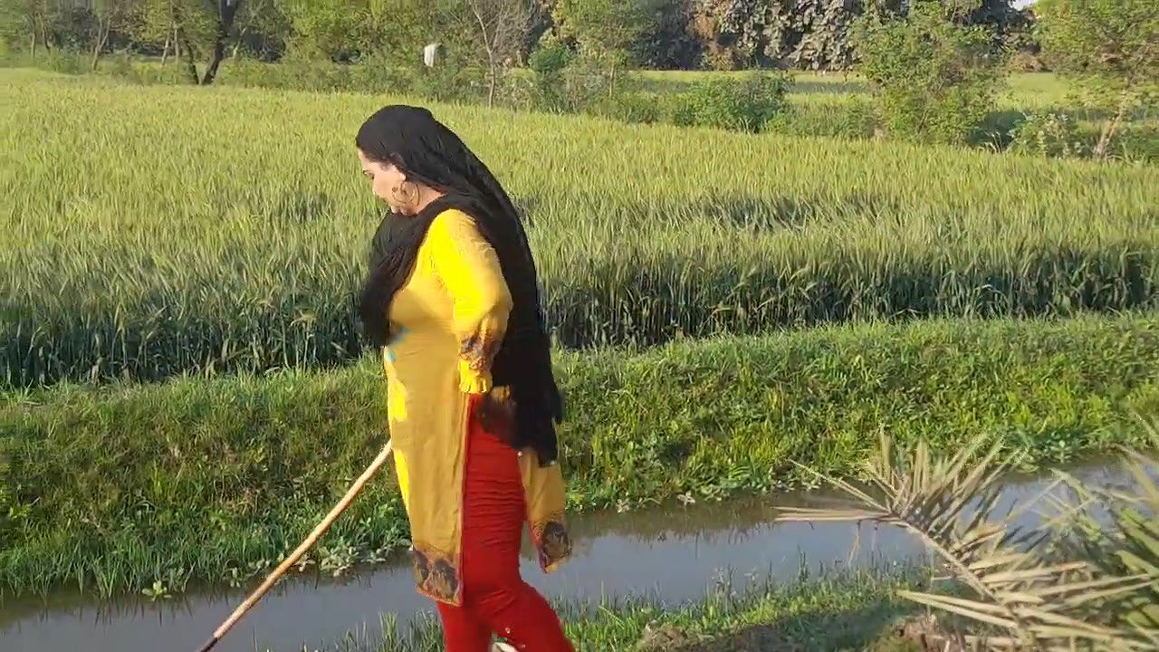 My Daily Routine Work Pakistan Village Life – Desi Aunty New Hot Vlog Punjab Culture Lifestyle