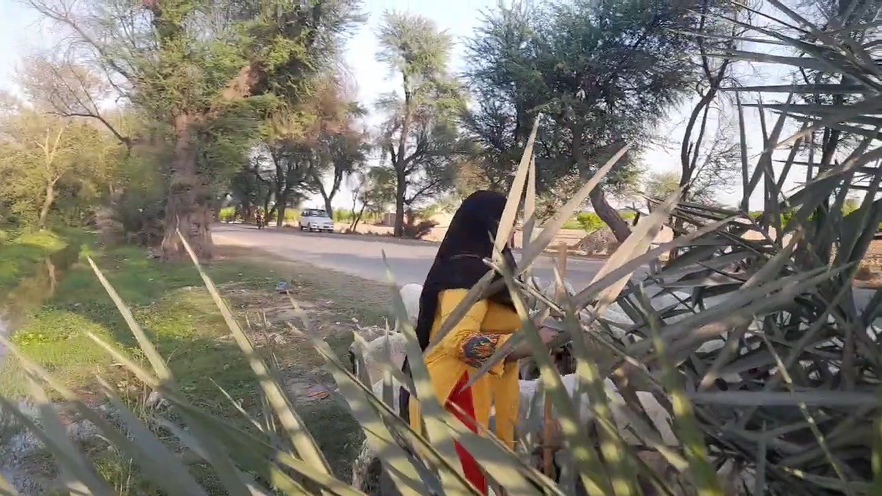 My Daily Routine Work Pakistan Village Life – Desi Aunty New Hot Vlog Punjab Culture Lifestyle