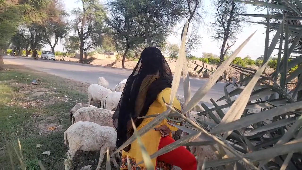 My Daily Routine Work Pakistan Village Life – Desi Aunty New Hot Vlog Punjab Culture Lifestyle