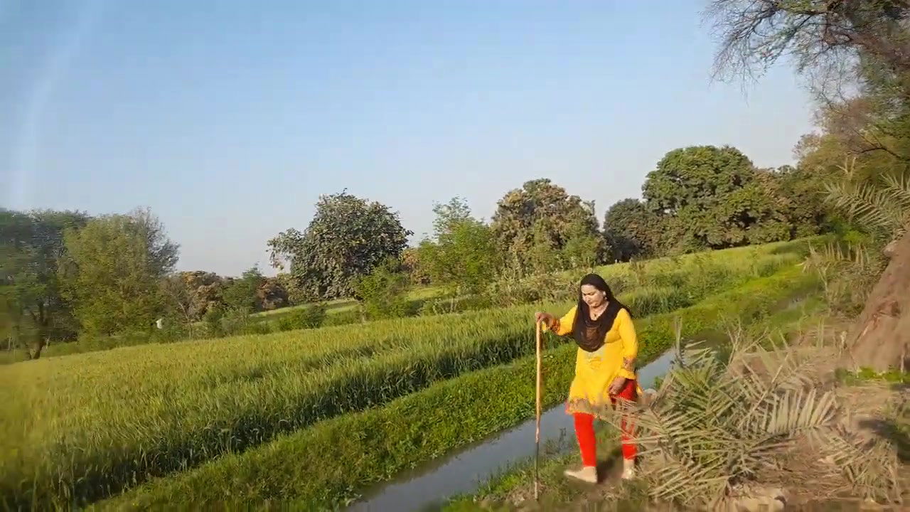 My Daily Routine Work Pakistan Village Life – Desi Aunty New Hot Vlog Punjab Culture Lifestyle