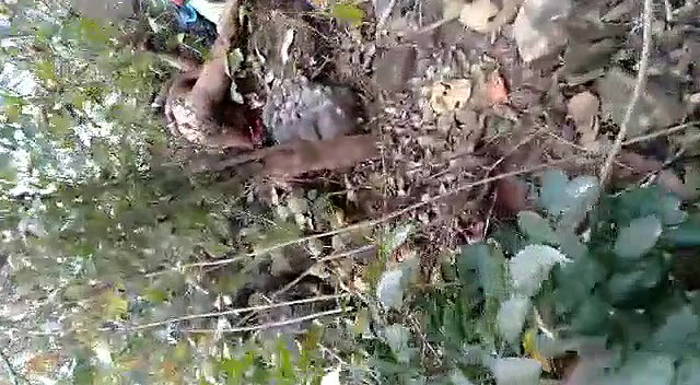 Desi lover caught outdoor