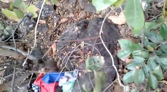 Desi lover caught outdoor