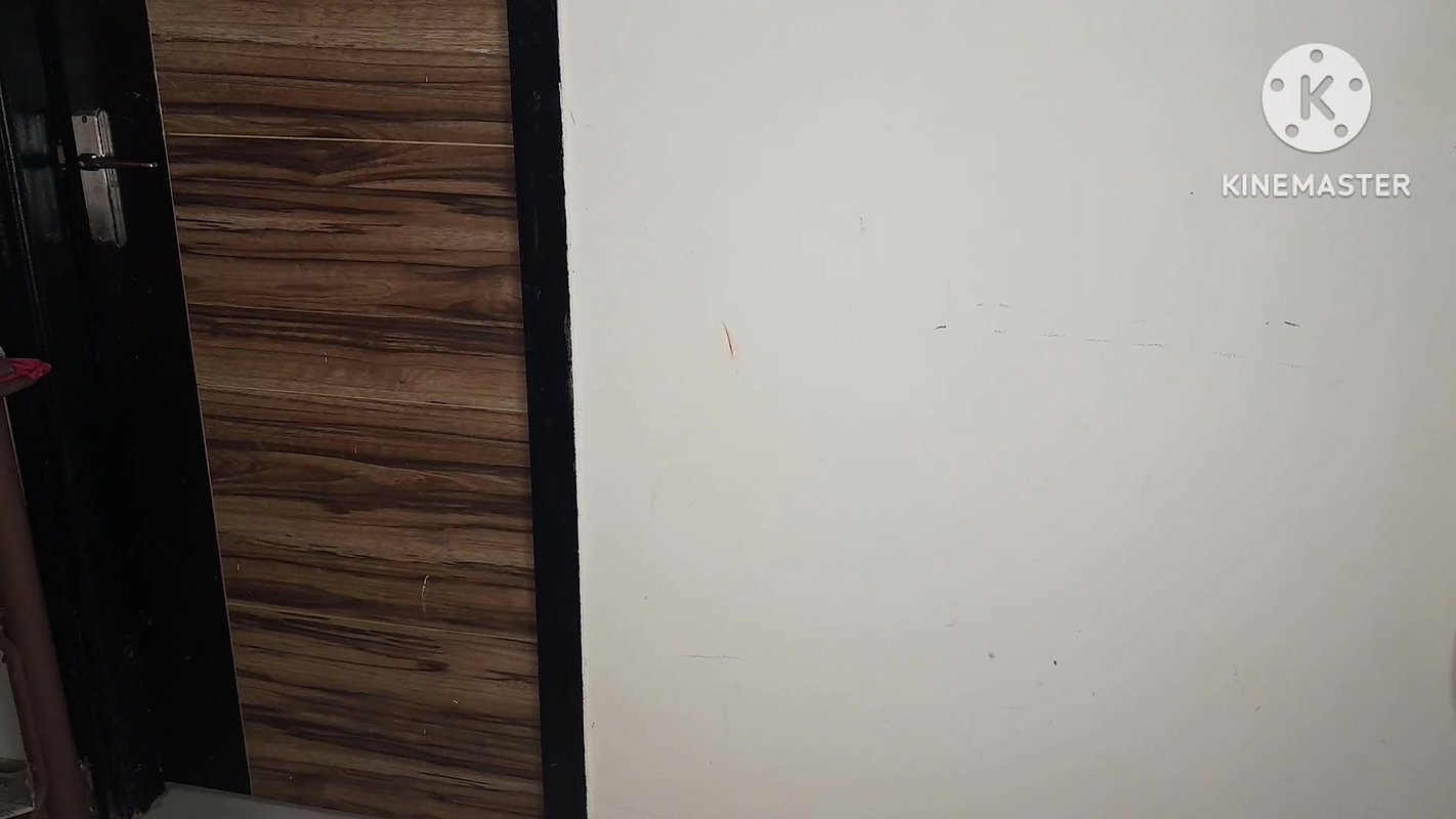 boyfriend AND girlfriend HAVING FUN ALONE AT HOME IN HINDI AUDIO