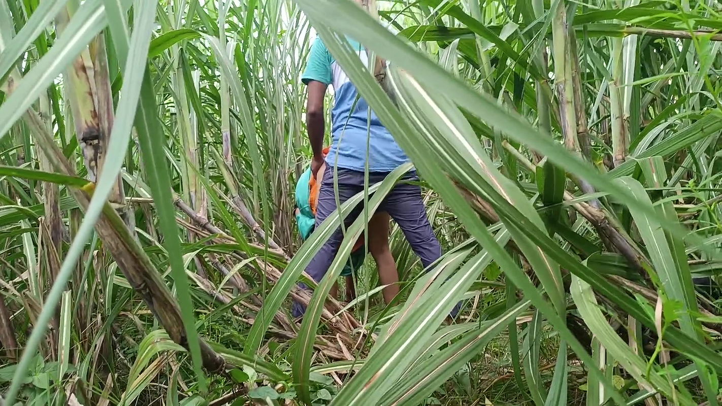 Brother-in-law took sister-in-law to the forest and her a lot