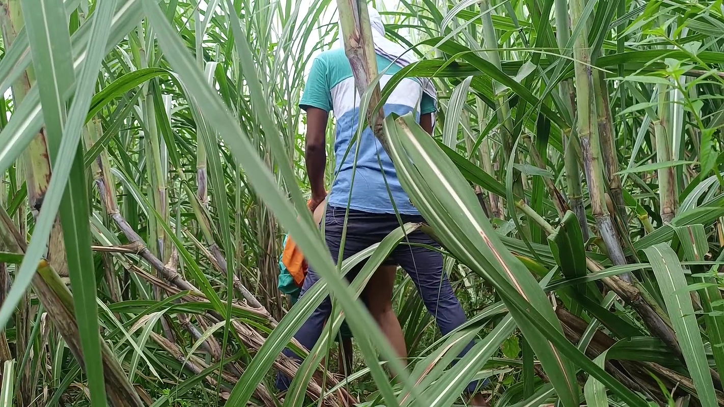Brother-in-law took sister-in-law to the forest and her a lot